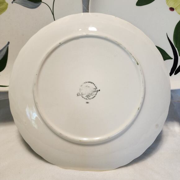 Vtg Blue Ridge Southern Potteries 3 Chartreuse 9" Dinner Plates Hand Painted - Picture 5 of 16